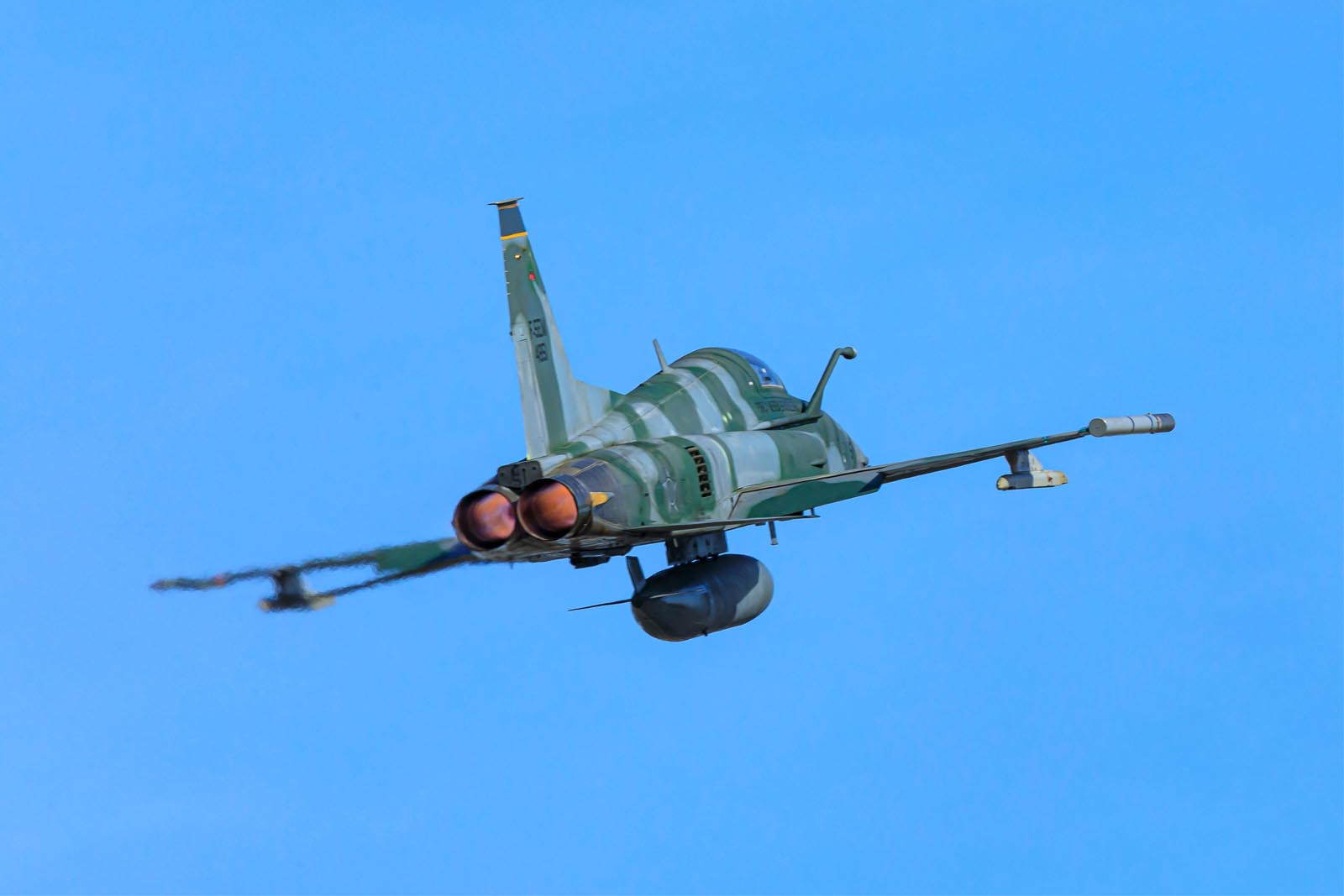 4851 F-5EM 1-14GAv (5)